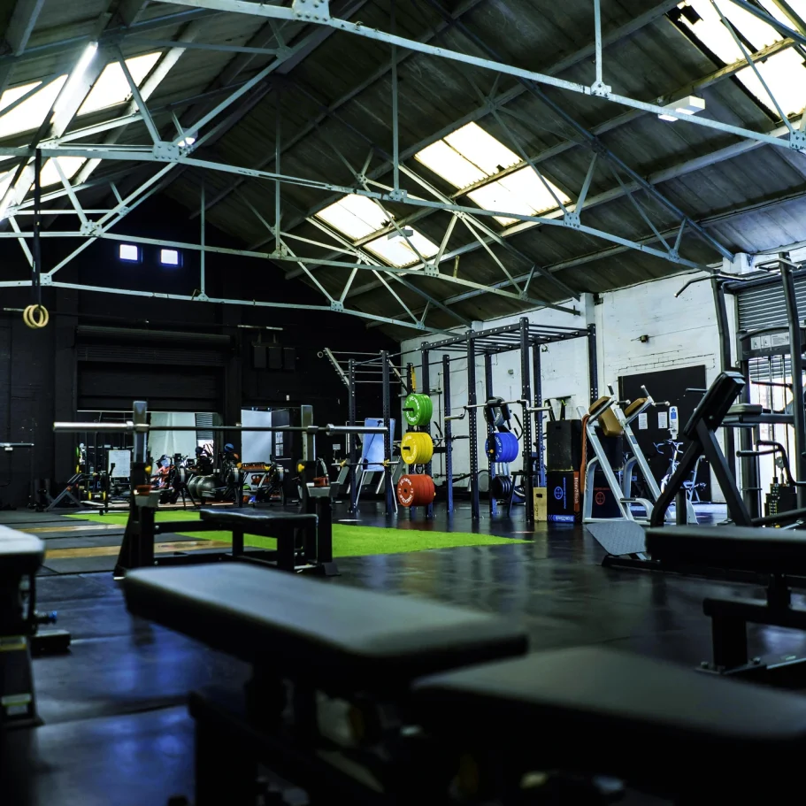 Fitnessstudios & Sporthallen Geräumiges Fitnessstudio mit Trainingsgeräten und Gewichten, gut beleuchtet.